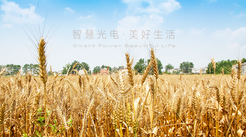 我國首部能源法正式問世、國家能源局/工信部最新通知、?支持企業引進光伏技術、虛擬電廠全電量參與現貨電能量交易出清…… - 拷貝